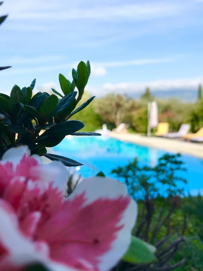 Le Mas De La Source Bed & Breakfast Mougins Dış mekan fotoğraf