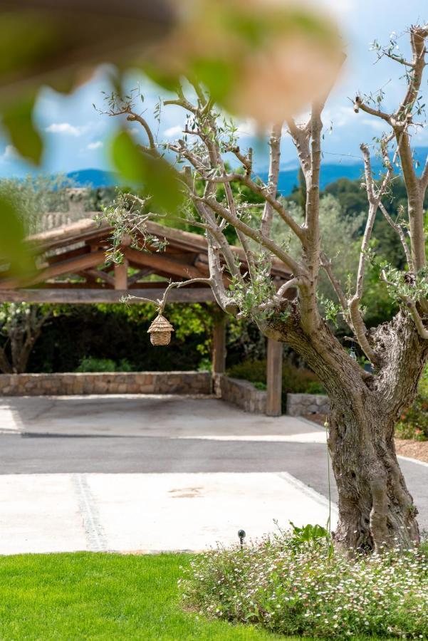 Le Mas De La Source Bed & Breakfast Mougins Dış mekan fotoğraf