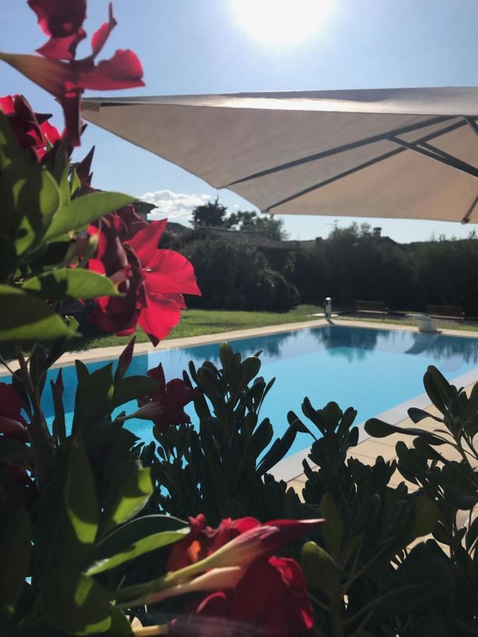 Le Mas De La Source Bed & Breakfast Mougins Dış mekan fotoğraf