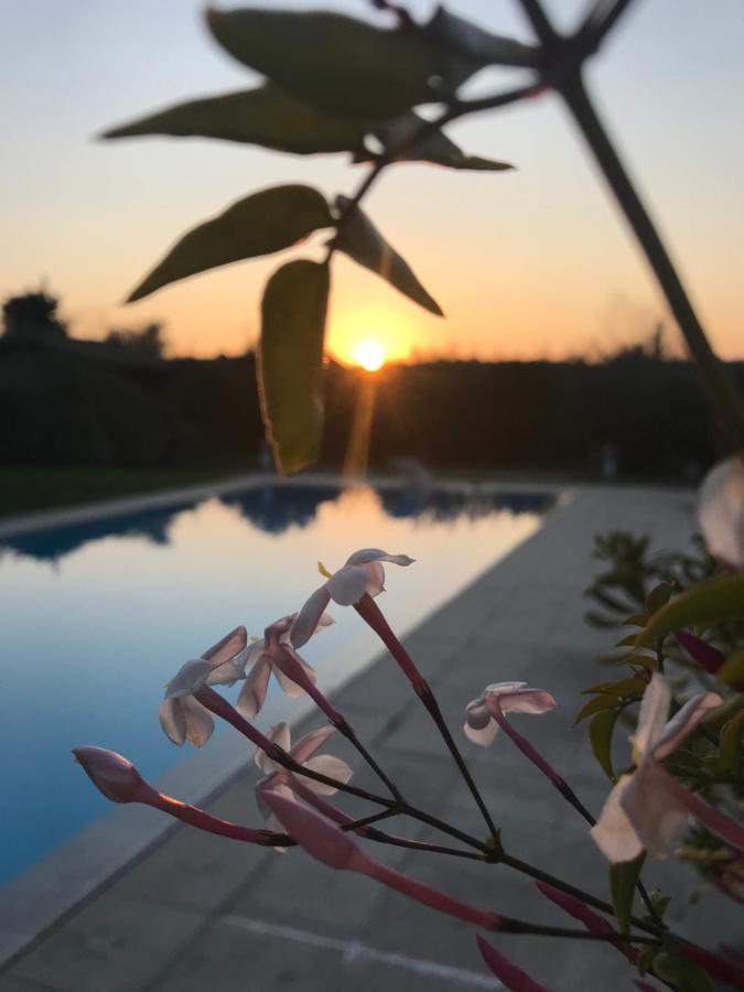Le Mas De La Source Bed & Breakfast Mougins Dış mekan fotoğraf